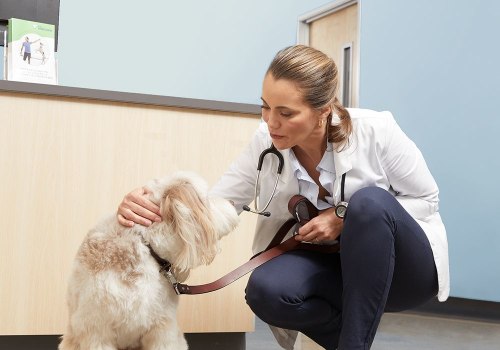 Why Choosing the Right Veterinarian in Augusta, GA Matters for Your Pet’s Health