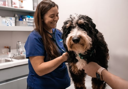 Veterinarian Augusta, GA: Your Go-To Guide for Pet Health and Wellness