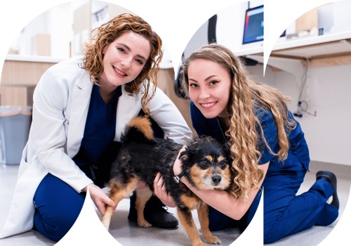 Expert Veterinary Care in Augusta, GA: Where Your Pets are Family